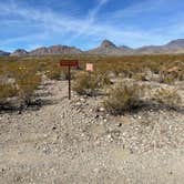 Review photo of Big Bend NP - Elephant Tusk Primitive Dispersed Campsite by Jerry P., January 21, 2022