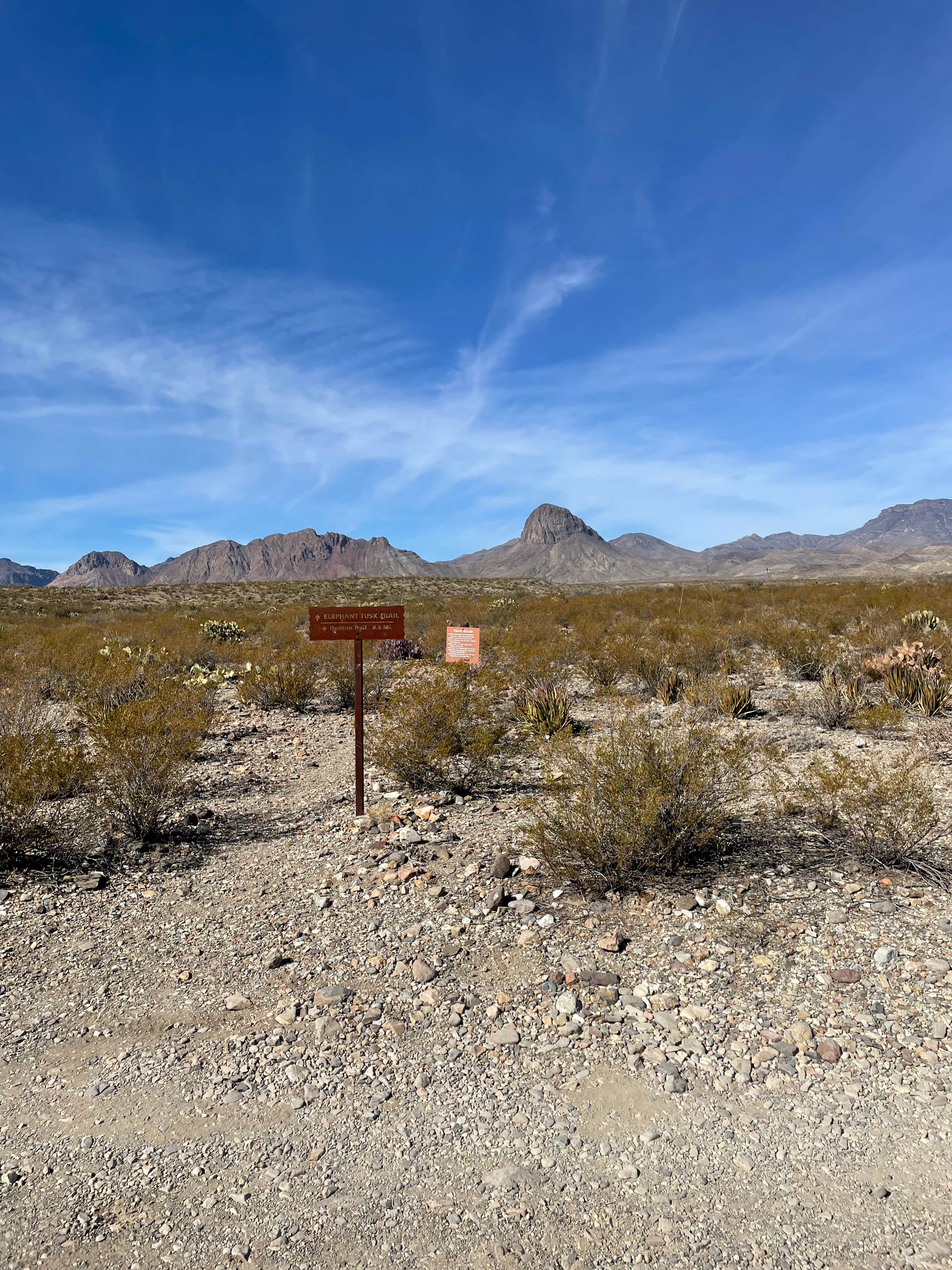 Camper submitted image from Big Bend NP - Elephant Tusk Primitive Dispersed Campsite - 3