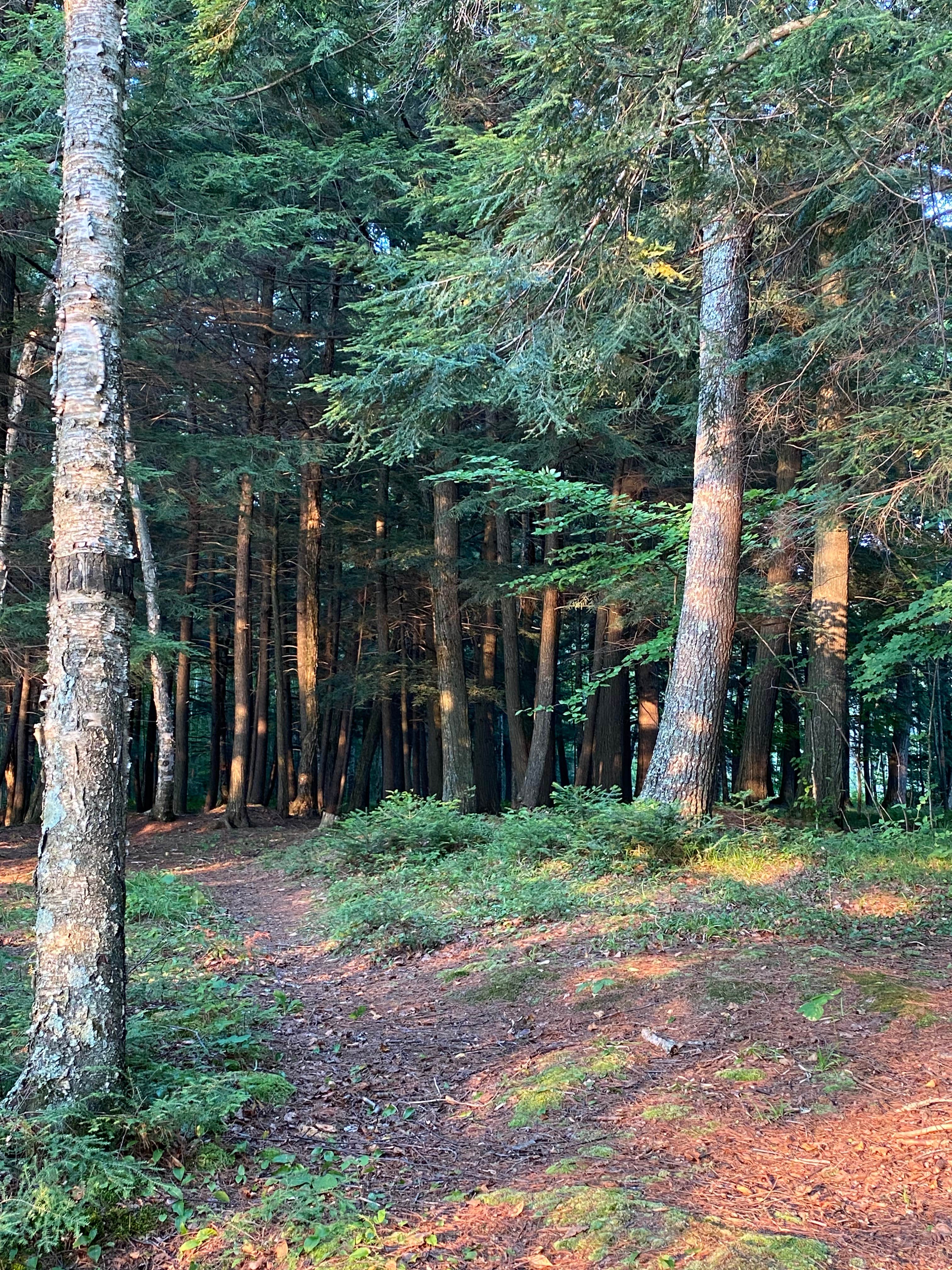 Camper-submitted photo at Connors Lake Campground — Flambeau River State Forest near Phillips, WI