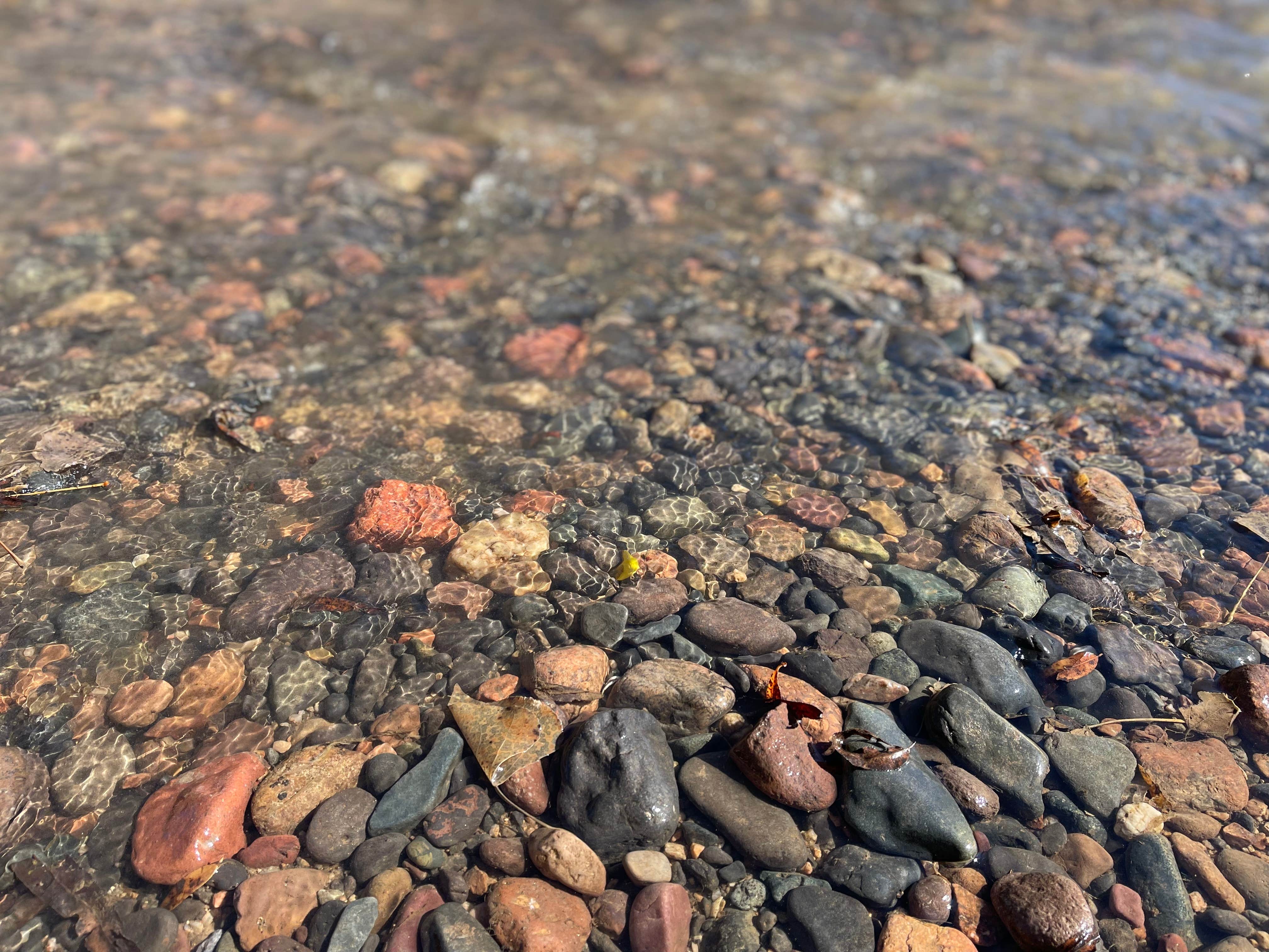 Camper-submitted photo at Verde River Dispersed Camping near Salt River, AZ