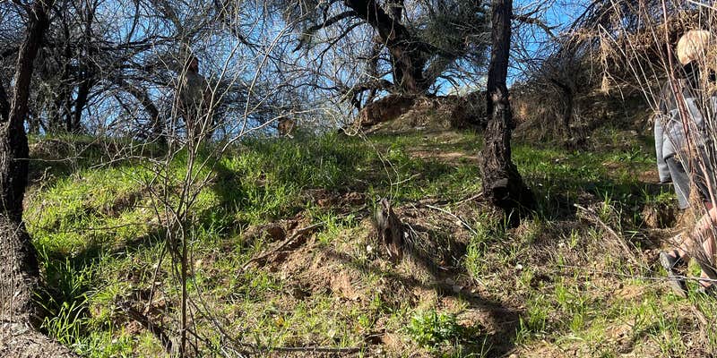 Camper submitted image from Verde River Dispersed Camping