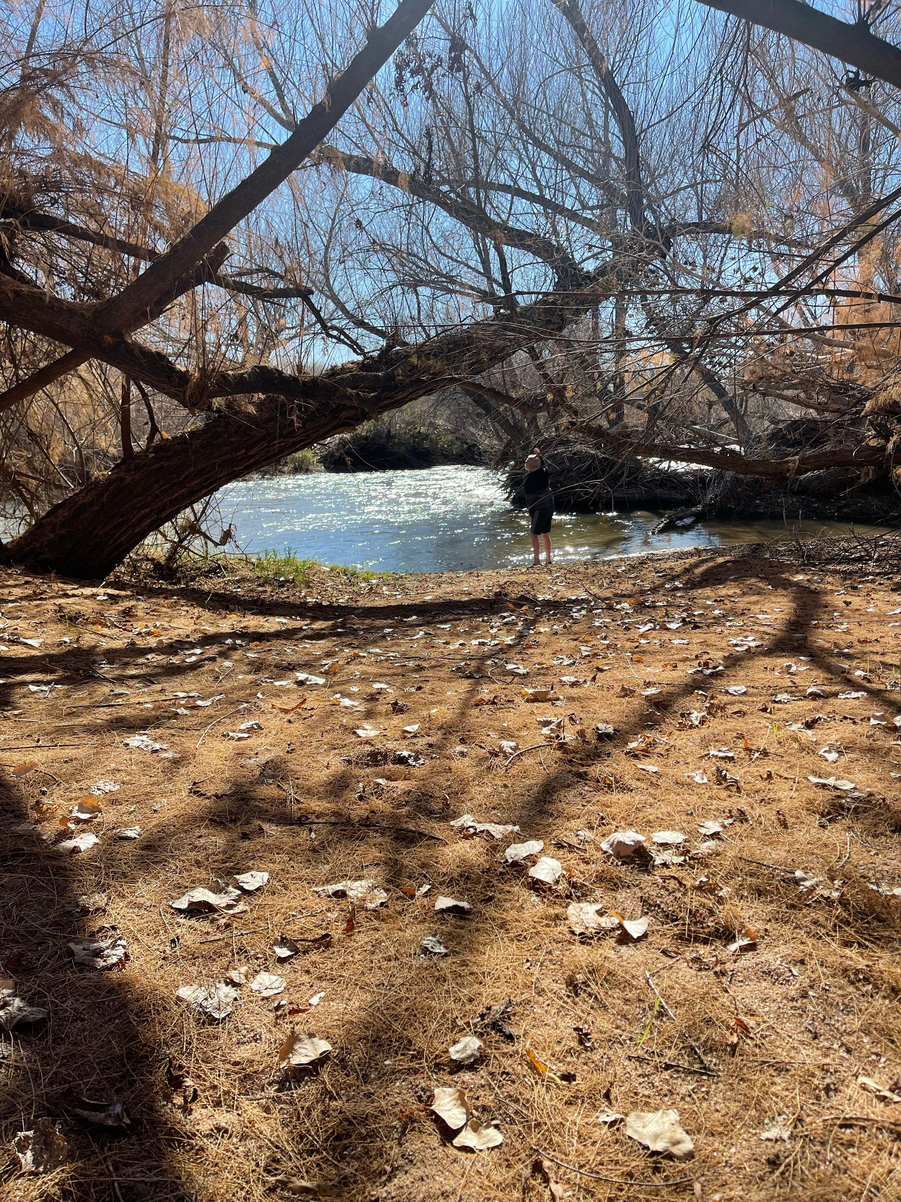 Camper submitted image from Verde River Dispersed Camping - 3