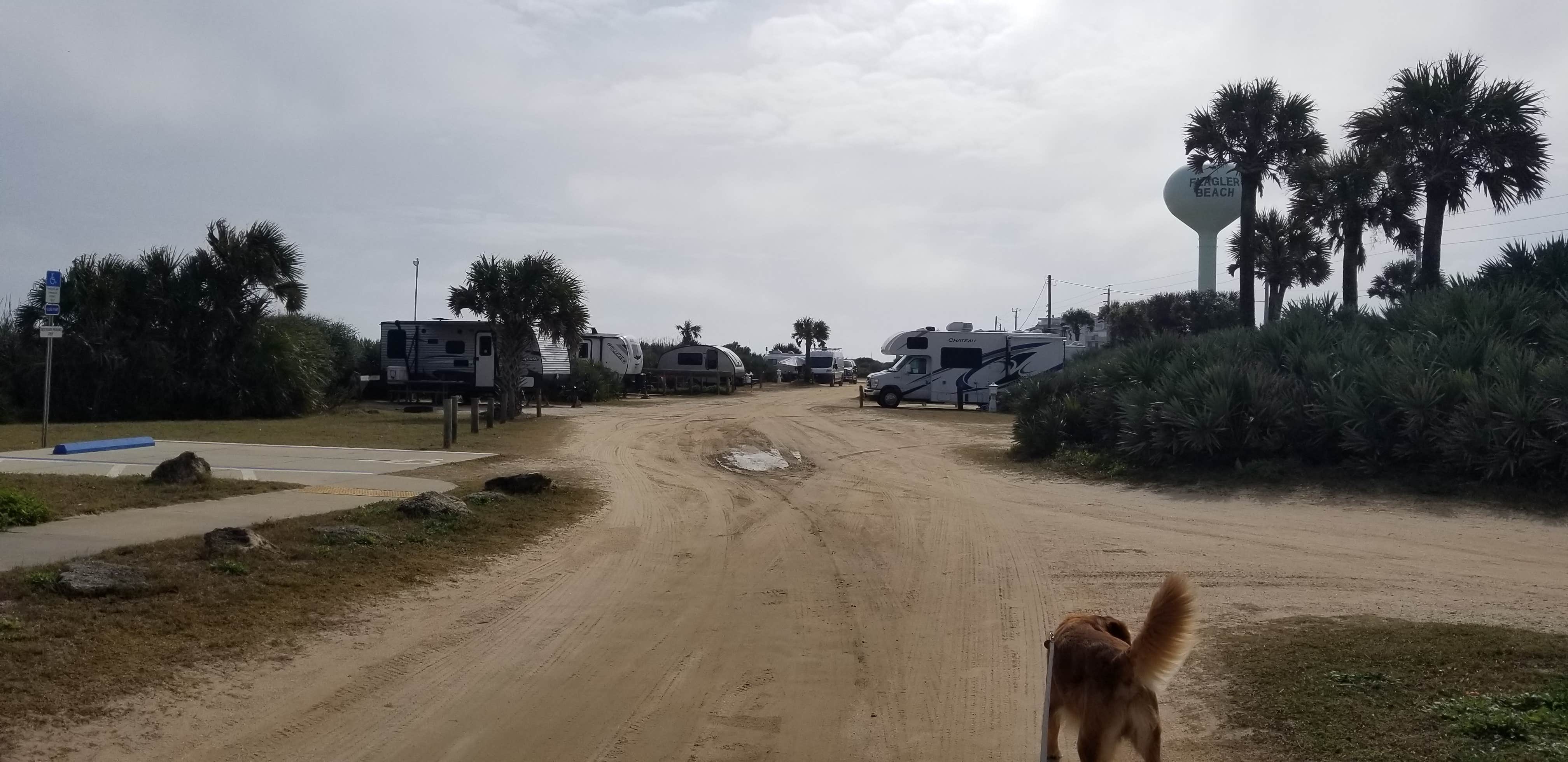 Chris C.'s photo of camping with pets at Riverside Camping — Gamble Rogers Memorial State Recreation Area at Flagler Beach near Ormond Beach, FL