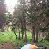 Review photo of Medano Lake Backpackers Camp — Great Sand Dunes National Preserve by Jeana P., July 9, 2018