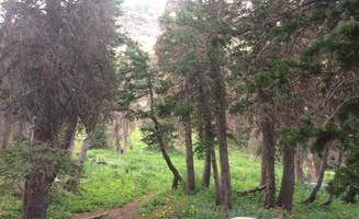 Jeana P.'s photo at Medano Lake Backpackers Camp — Great Sand Dunes National Preserve near Great Sand Dunes National Park & Preserve