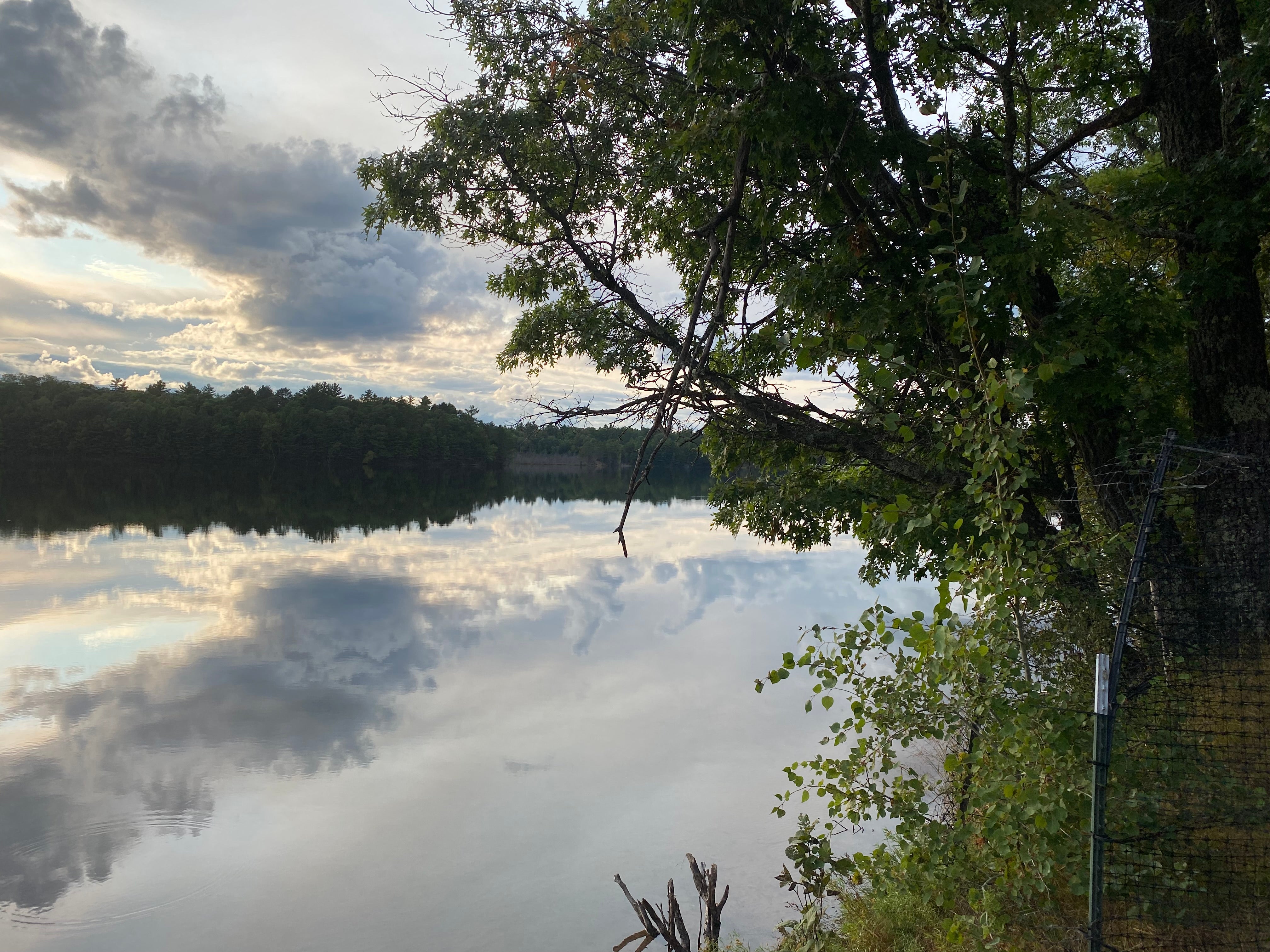 Camper submitted image from Buffalo Lake Campground — Northern Highland State Forest - 2