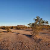 Review photo of Gunsight Wash BLM Dispersed camping area by Debra P., January 21, 2022