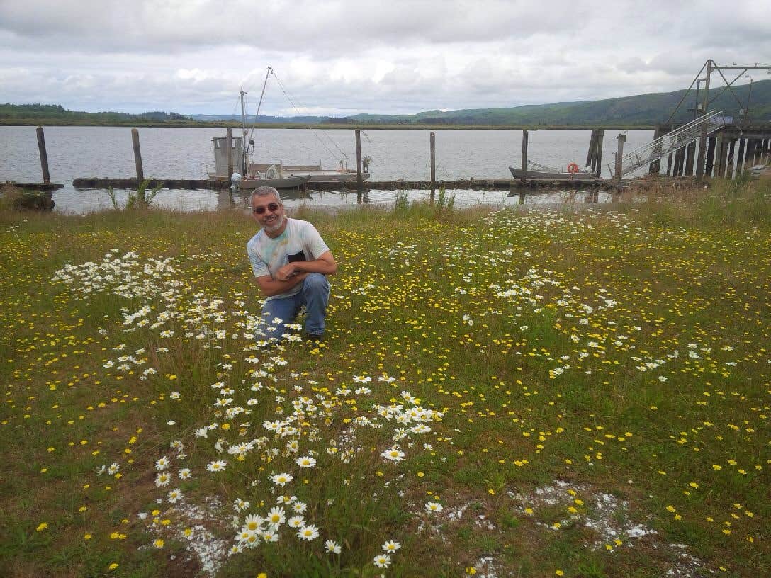 Camper submitted image from Henry Rierson Spruce Run Campground - 5