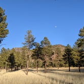 Review photo of Dispersed Camping around Sunset Crater Volcano NM by Bill , January 21, 2022