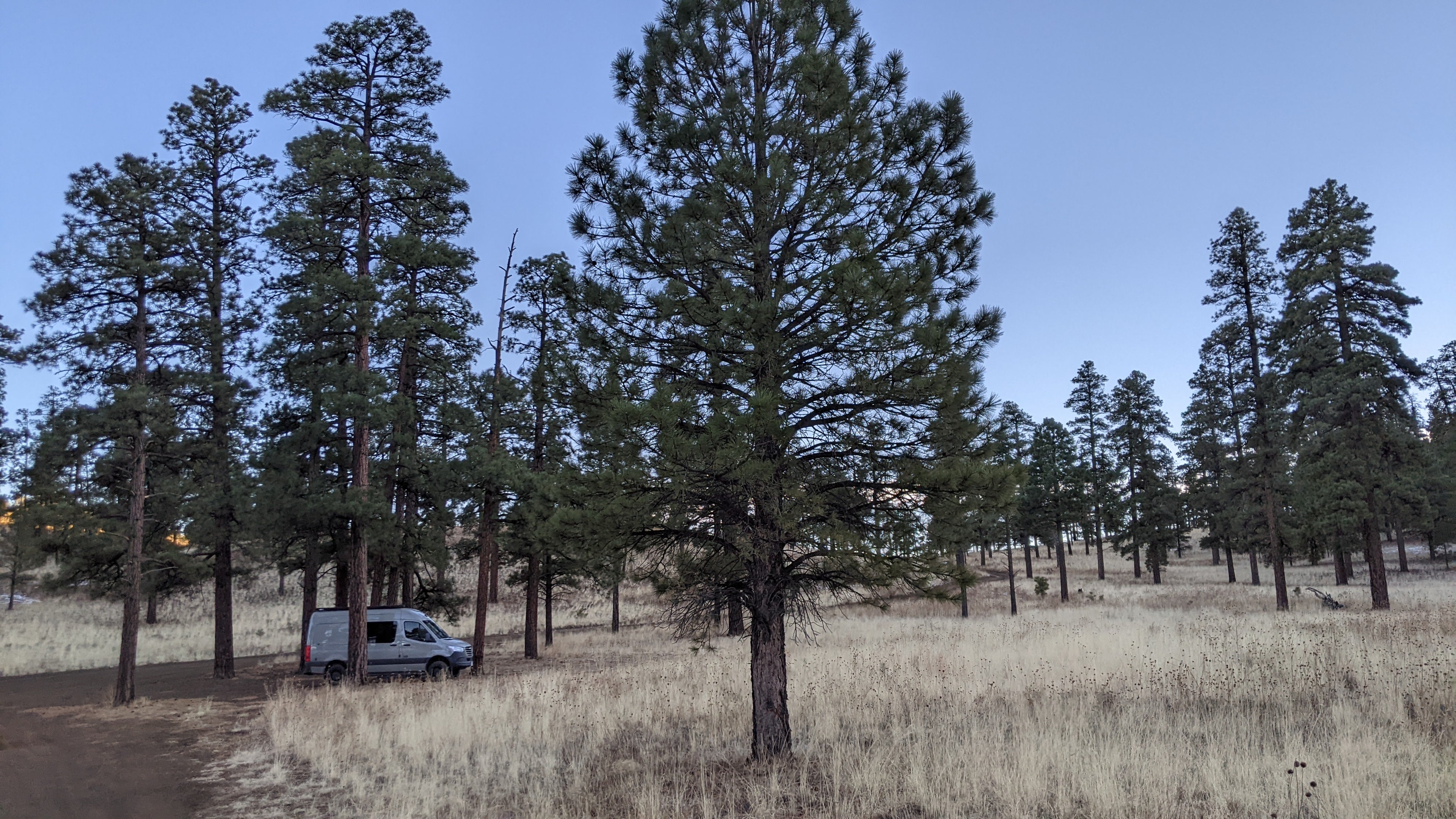 Camper submitted image from Dispersed Camping around Sunset Crater Volcano NM - 1