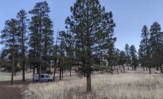 Camping near Abineau & Bear Jaw Trail Camp: Dispersed Camping around Sunset Crater Volcano NM, Flagstaff, Arizona