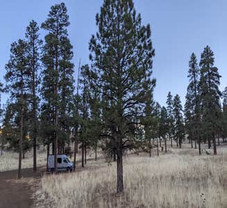 Camper-submitted photo from Dispersed Camping around Sunset Crater Volcano NM