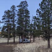 Review photo of Dispersed Camping around Sunset Crater Volcano NM by Bill , January 21, 2022