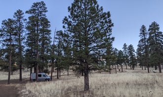 Camping near Coconino Forest Road 9125F: Dispersed Camping around Sunset Crater Volcano NM, Flagstaff, Arizona