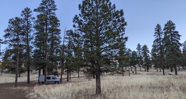 Dispersed Camping around Sunset Crater Volcano NM
