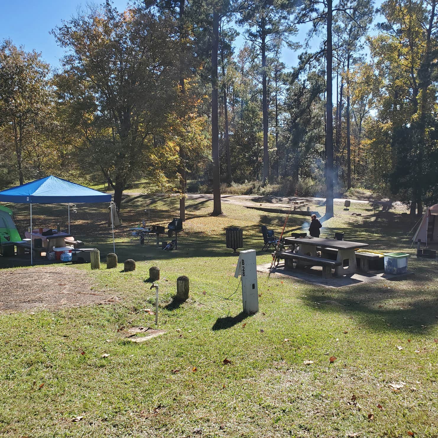 Cotile Recreation Area Camping The Dyrt