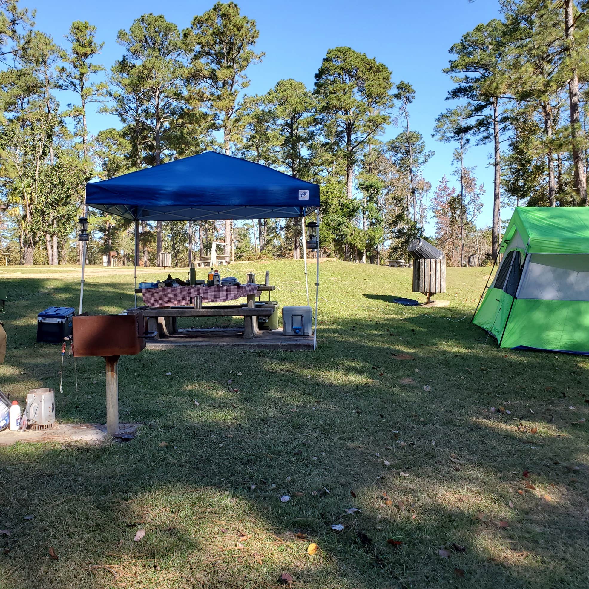 Cotile Recreation Area Camping The Dyrt