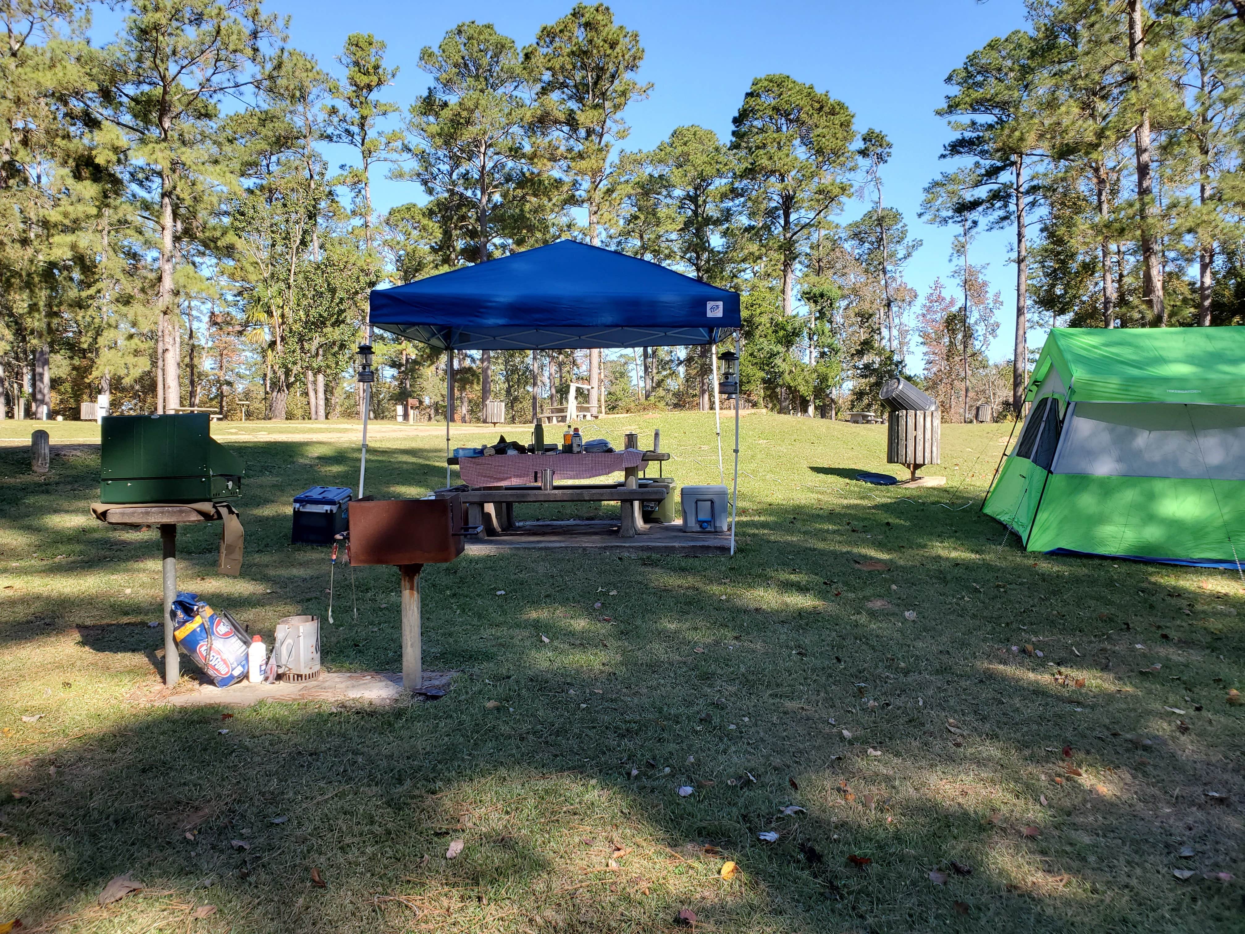 Camper submitted image from Cotile Recreation Area - 3