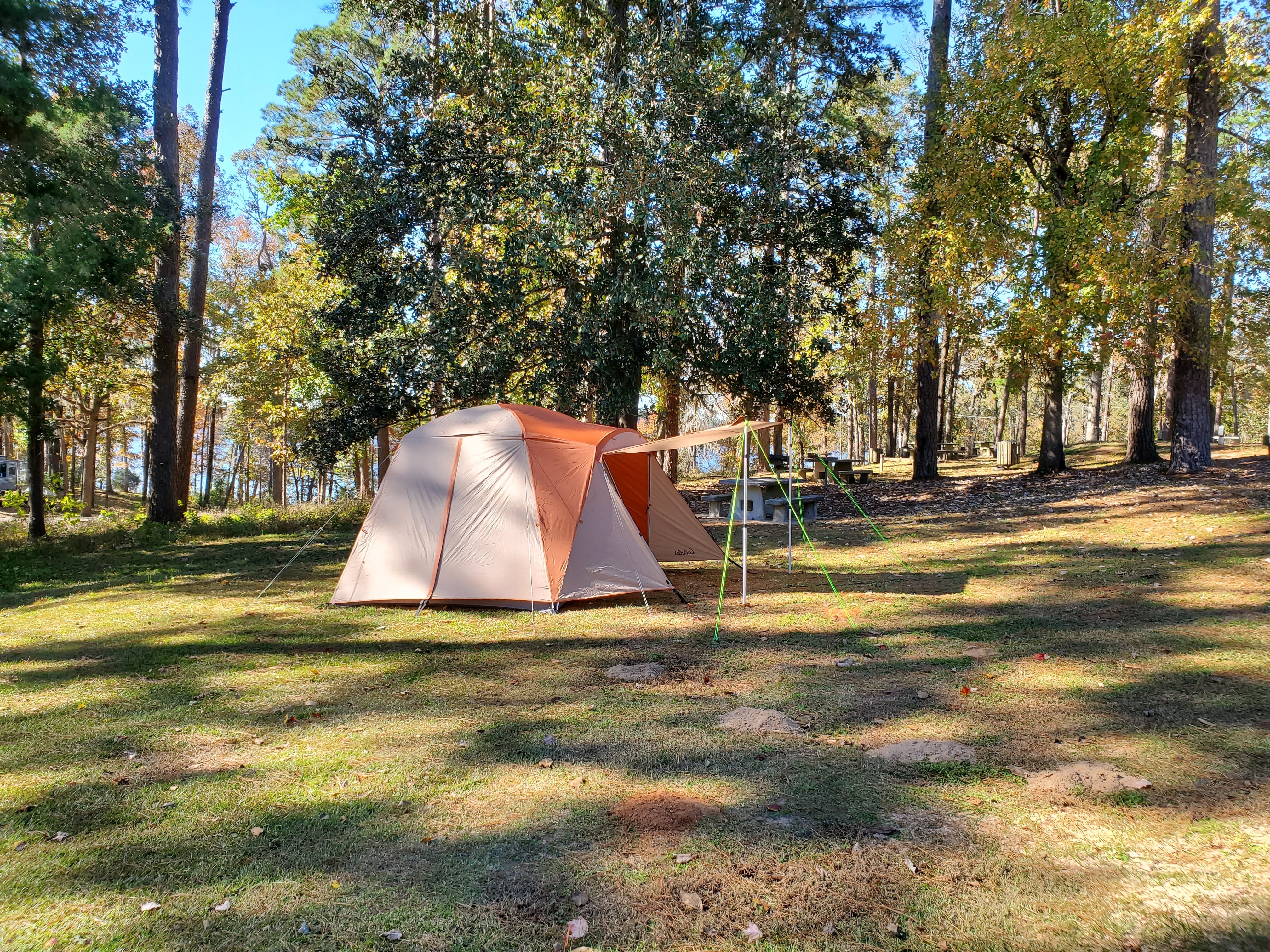 Camper submitted image from Cotile Recreation Area - 1