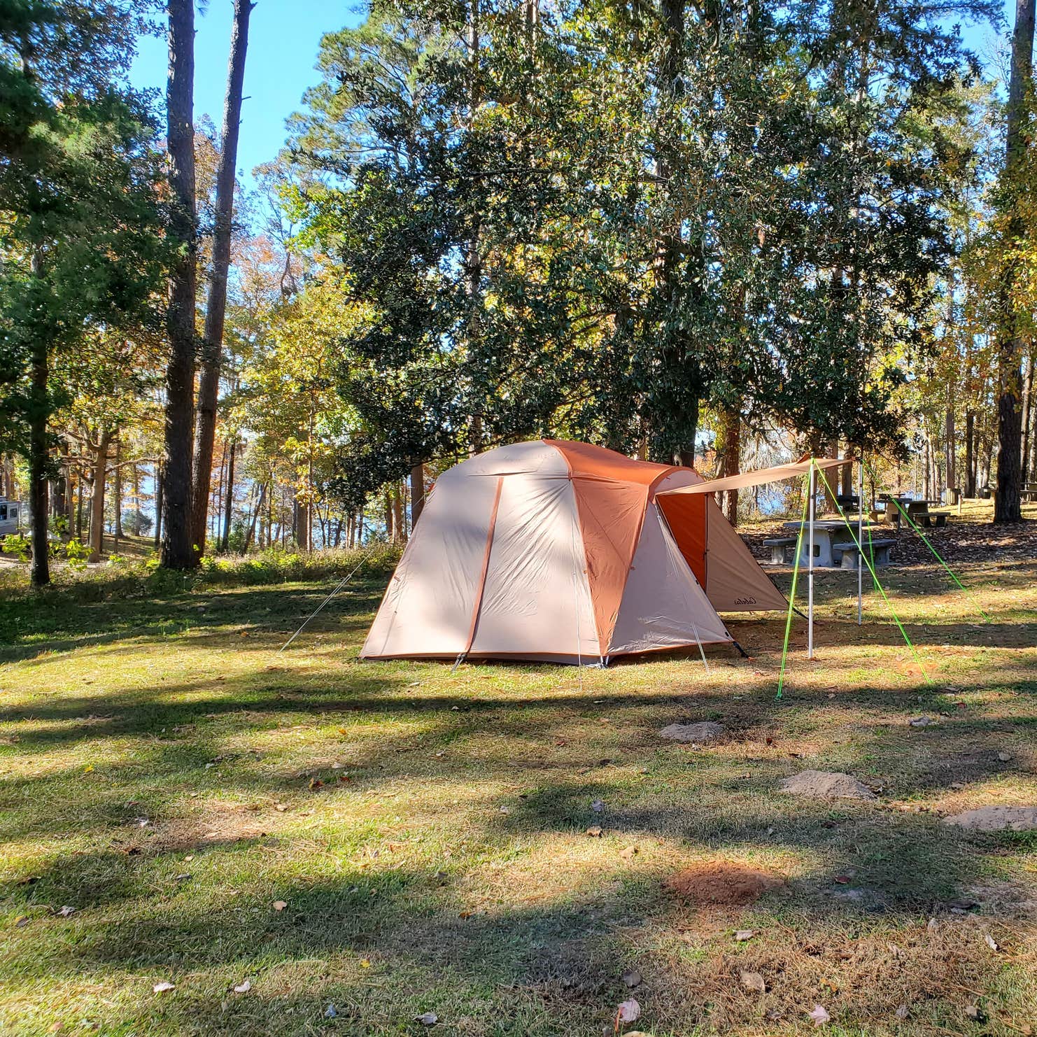 Cotile Recreation Area Camping Boyce, LA
