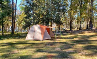 Camping near Stuart Lake Recreation Complex, Camping/Day Use: Cotile Recreation Area, Gardner, Louisiana
