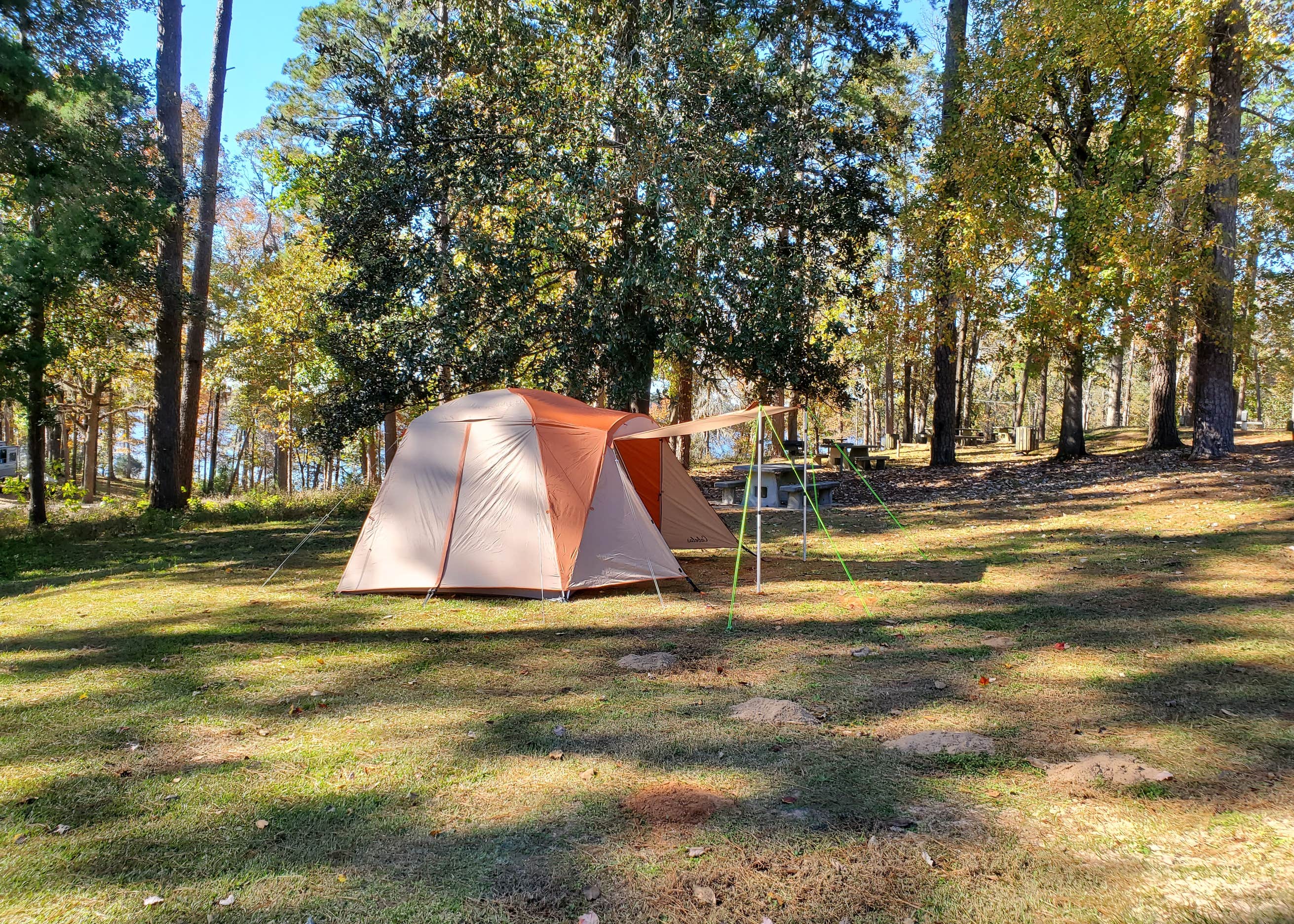 Cotile Recreation Area Camping The Dyrt