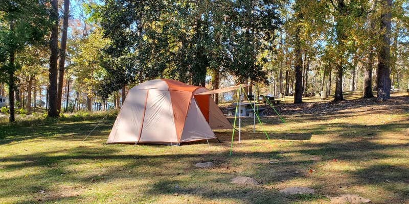 Camper submitted image from Cotile Recreation Area