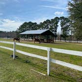 Review photo of Red Gate Farms - RV Resort by Ariel F., January 22, 2022