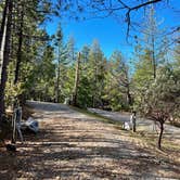Review photo of Gold Country Campground Resort by Darren B., January 22, 2022