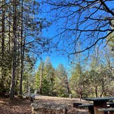 Review photo of Gold Country Campground Resort by Darren B., January 22, 2022