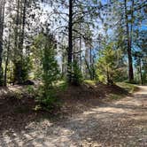 Review photo of Gold Country Campground Resort by Darren B., January 22, 2022