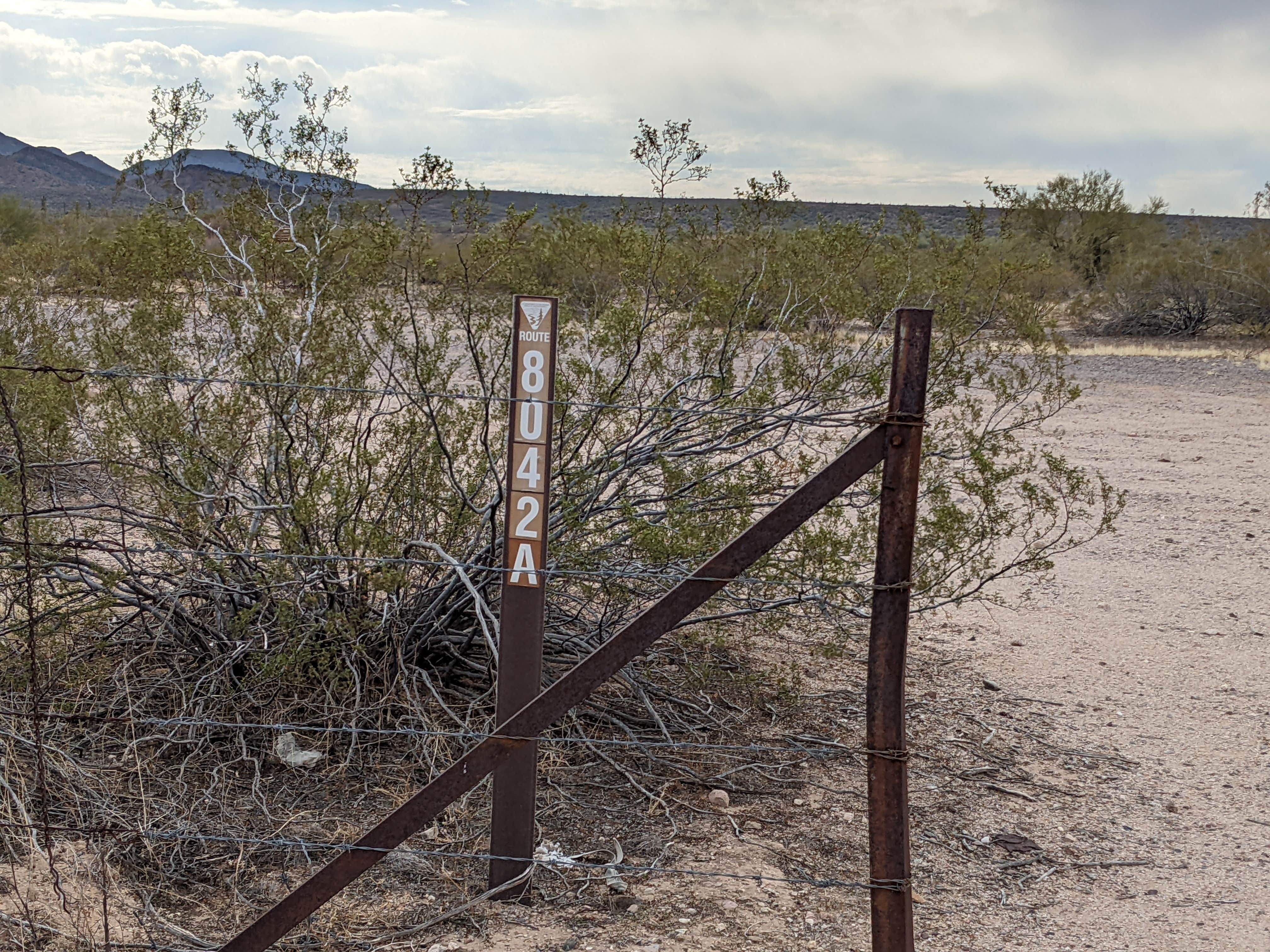 Camper submitted image from BLM Sonoran Desert National Monument - Road #8042 Dispersed Camping Area - 2