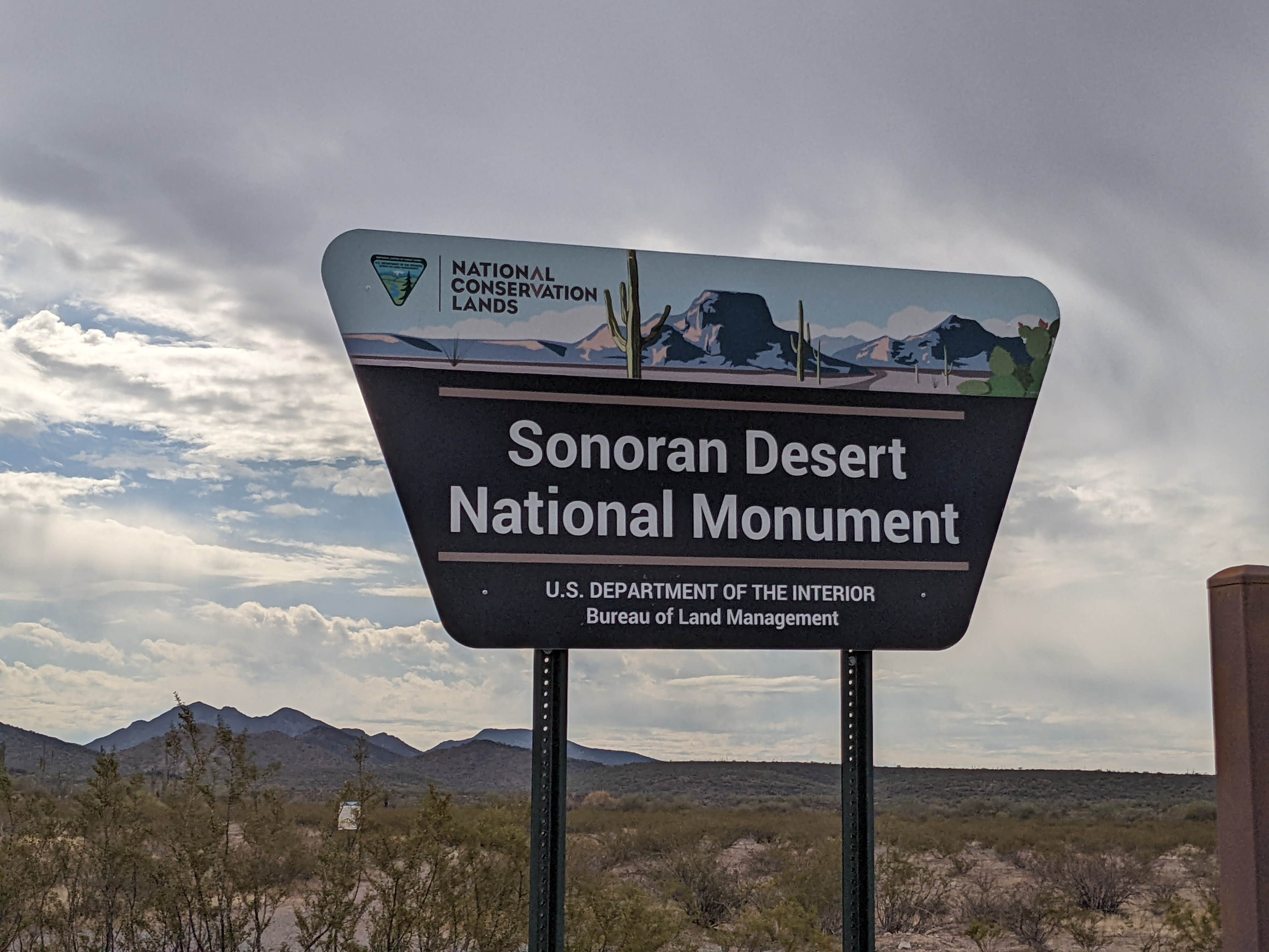 Camper-submitted photo at BLM Sonoran Desert National Monument - Road #8042 Dispersed Camping Area near Casa Grande, AZ