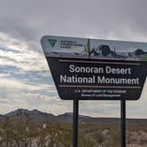 Review photo of BLM Sonoran Desert National Monument - Road #8042 Dispersed Camping Area by Greg L., January 22, 2022