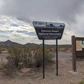 Review photo of BLM Sonoran Desert National Monument - Road #8042 Dispersed Camping Area by Greg L., January 22, 2022