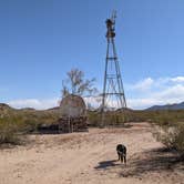 Review photo of BLM Sonoran Desert National Monument - Road #8042 Dispersed Camping Area by Greg L., January 22, 2022