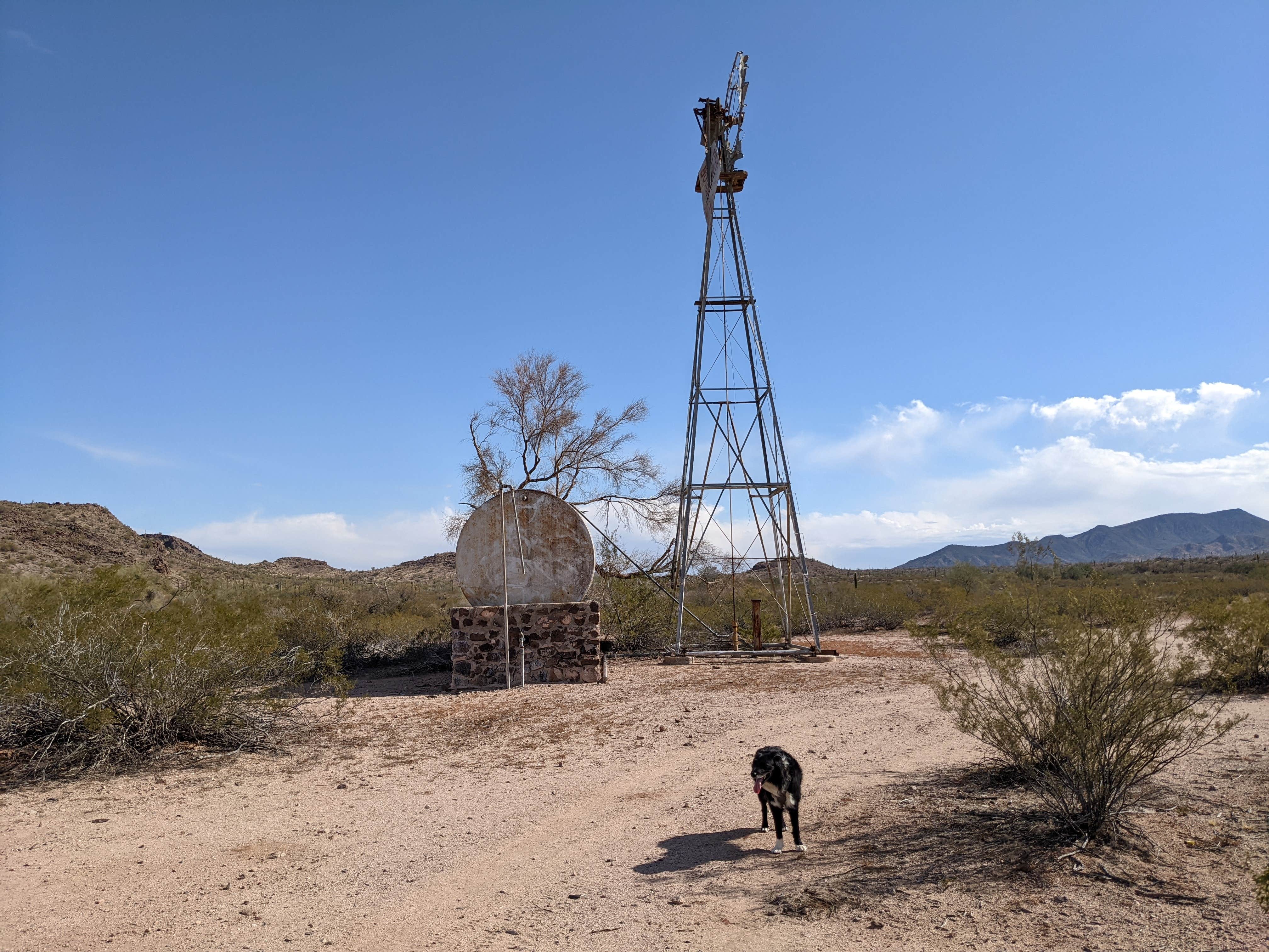 Camper submitted image from BLM Sonoran Desert National Monument - Road #8042 Dispersed Camping Area - 5