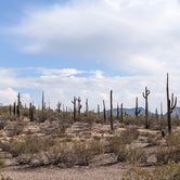 Review photo of BLM Sonoran Desert National Monument - Road #8042 Dispersed Camping Area by Greg L., January 22, 2022