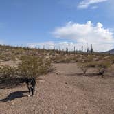 Review photo of BLM Sonoran Desert National Monument - Road #8042 Dispersed Camping Area by Greg L., January 22, 2022