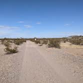 Review photo of BLM Sonoran Desert National Monument - Road #8042 Dispersed Camping Area by Greg L., January 22, 2022