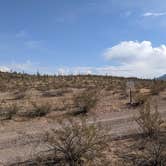 Review photo of BLM Sonoran Desert National Monument - Road #8042 Dispersed Camping Area by Greg L., January 22, 2022