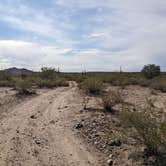 Review photo of BLM Sonoran Desert National Monument - Road #8042 Dispersed Camping Area by Greg L., January 22, 2022