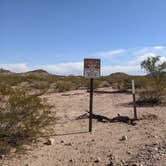 Review photo of BLM Sonoran Desert National Monument - Road #8042 Dispersed Camping Area by Greg L., January 22, 2022