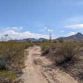 Review photo of BLM Sonoran Desert National Monument - Road #8042 Dispersed Camping Area by Greg L., January 22, 2022