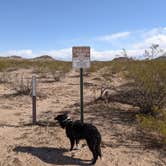 Review photo of BLM Sonoran Desert National Monument - Road #8042 Dispersed Camping Area by Greg L., January 22, 2022