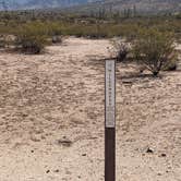 Review photo of BLM Sonoran Desert National Monument - Road #8042 Dispersed Camping Area by Greg L., January 22, 2022