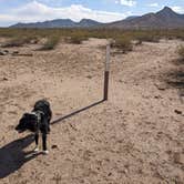 Review photo of BLM Sonoran Desert National Monument - Road #8042 Dispersed Camping Area by Greg L., January 22, 2022