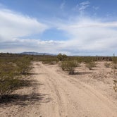 Review photo of BLM Sonoran Desert National Monument - Road #8042 Dispersed Camping Area by Greg L., January 22, 2022