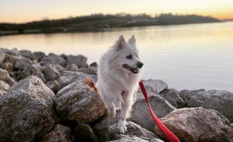 Nicole B.'s photo of camping with pets at Lake Icaria Co Park near Anita, IA