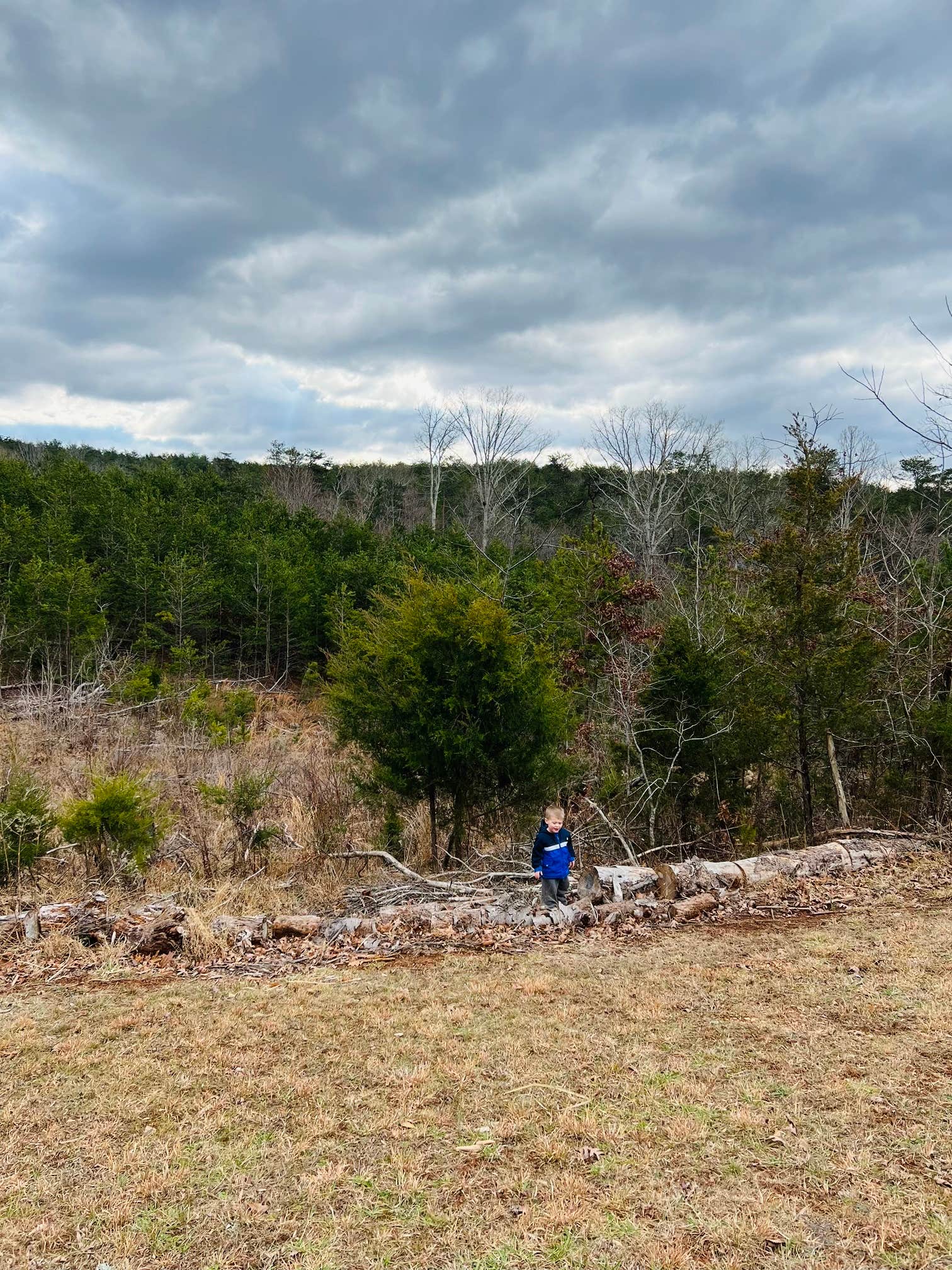 Camper-submitted photo at Leesville Lake Campground, LLC near Catawba, VA